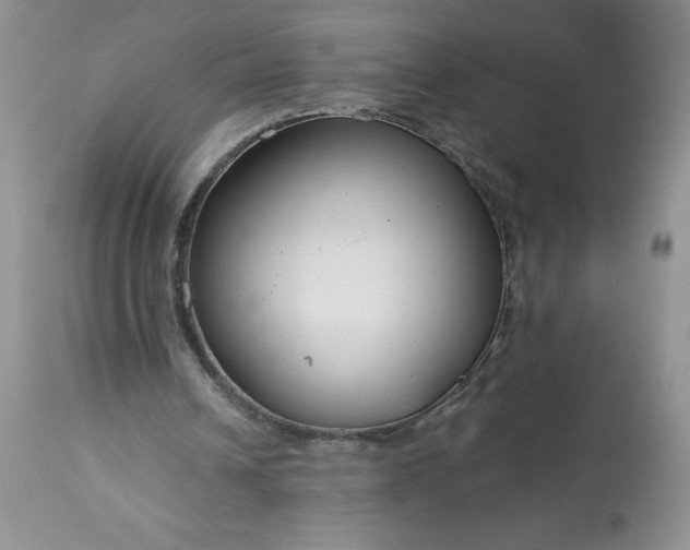 X0000113580242200910021700