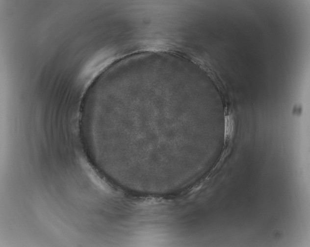 X0000113580243200910021700