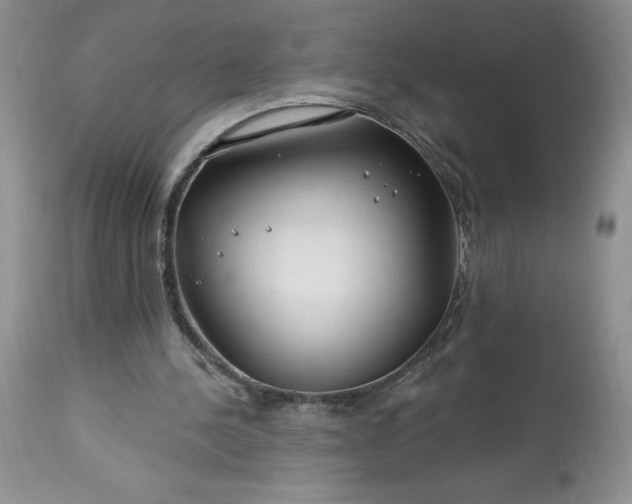 X0000113580244200910021700