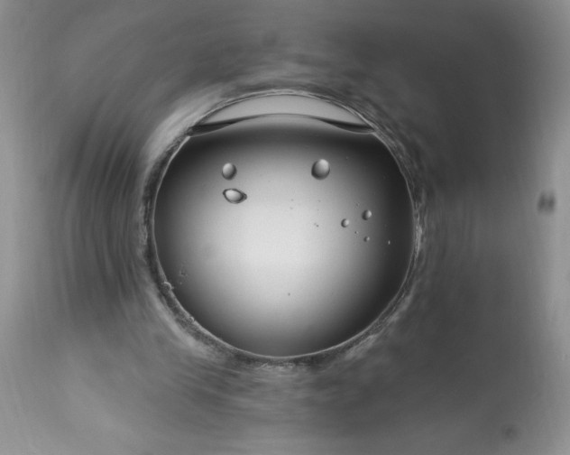 X0000113580245200910021700