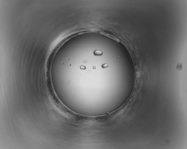 X0000113580246200910021700