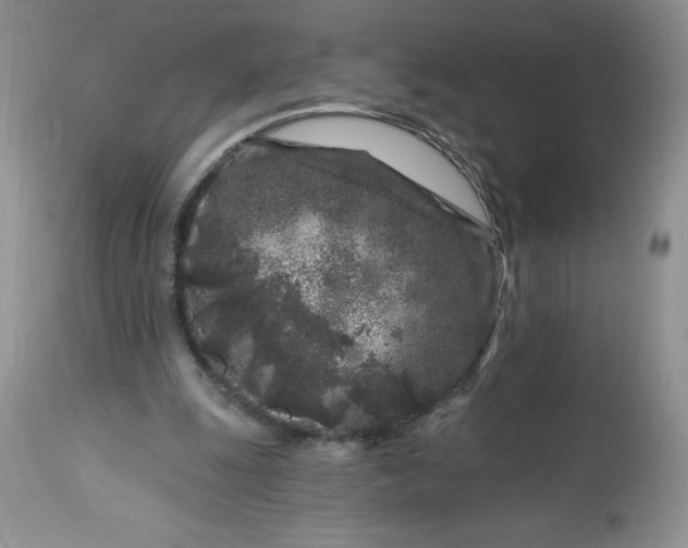 X0000113580247200910021700