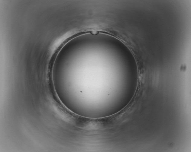 X0000113580248200910021700