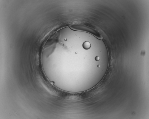 X0000113580251200910021700