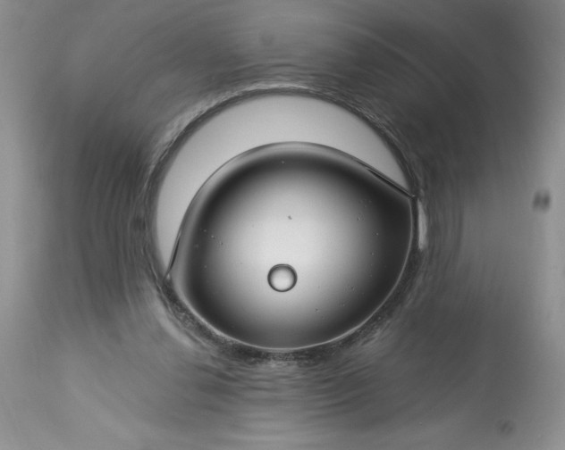 X0000113580252200910021700