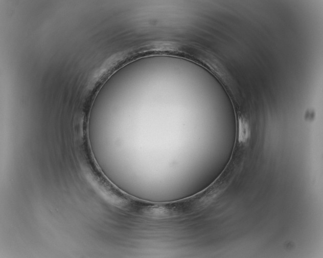 X0000113580253200910021700