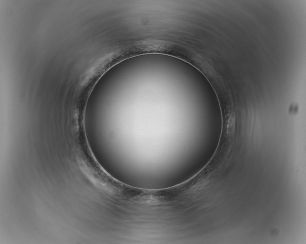 X0000113580254200910021700