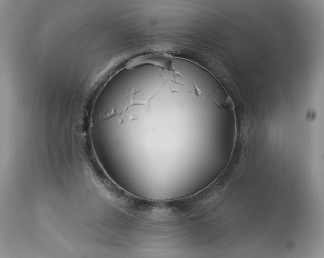 X0000113580256200910021700