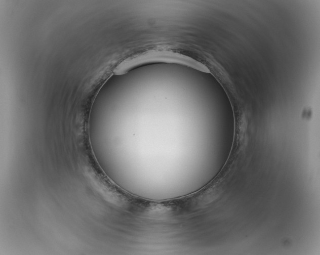 X0000113580257200910021700