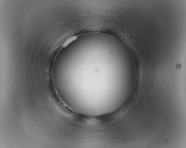 X0000113580258200910021700