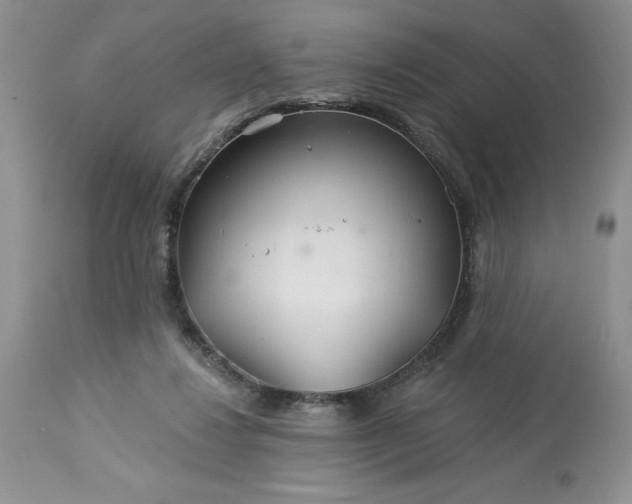 X0000113580260200910021700