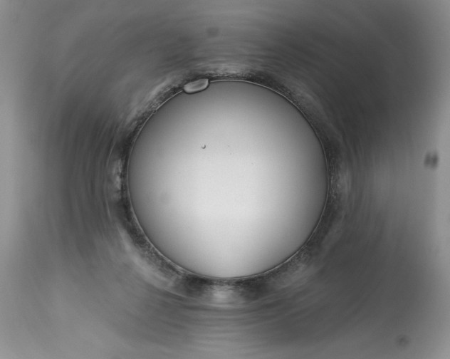 X0000113580264200910021700