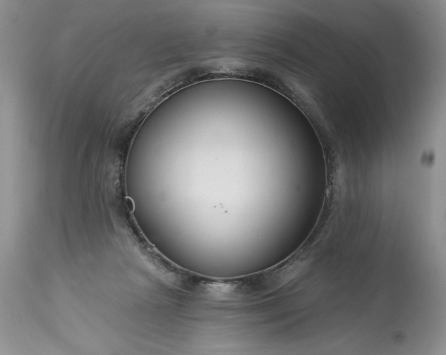 X0000113580265200910021700