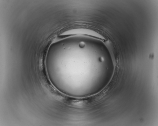 X0000113580267200910021700