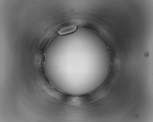 X0000113580268200910021700