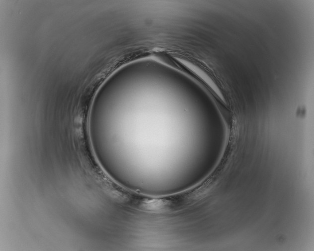 X0000113580269200910021700