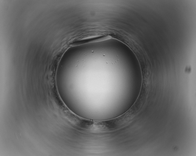 X0000113580270200910021700