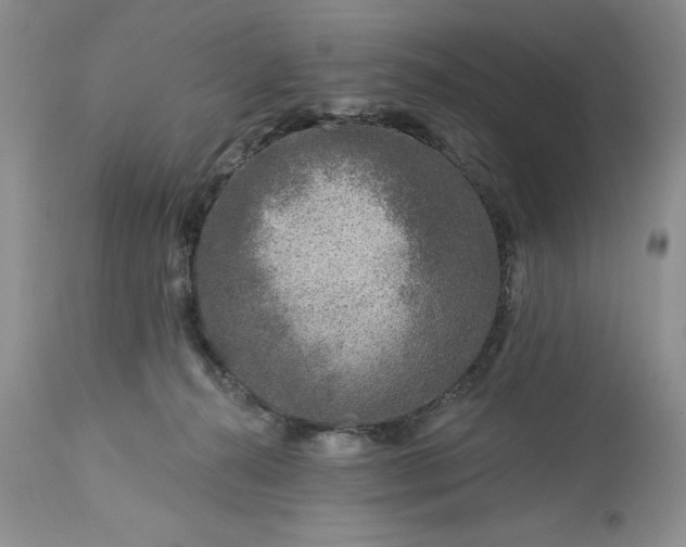 X0000113580272200910021700