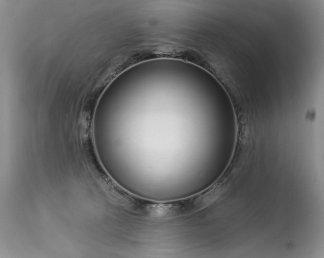 X0000113580273200910021700