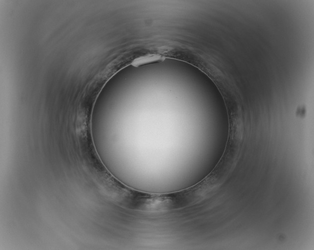 X0000113580274200910021700