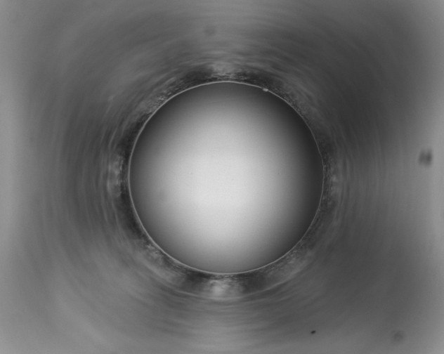 X0000113580275200910021700