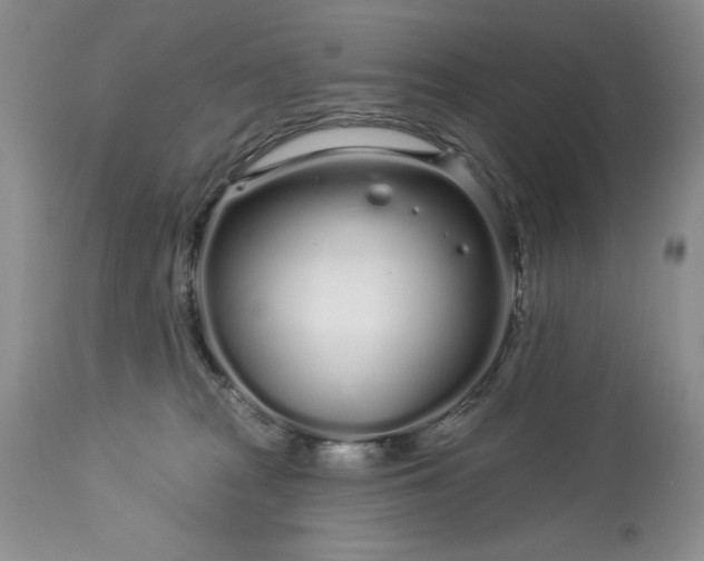 X0000113580277200910021700