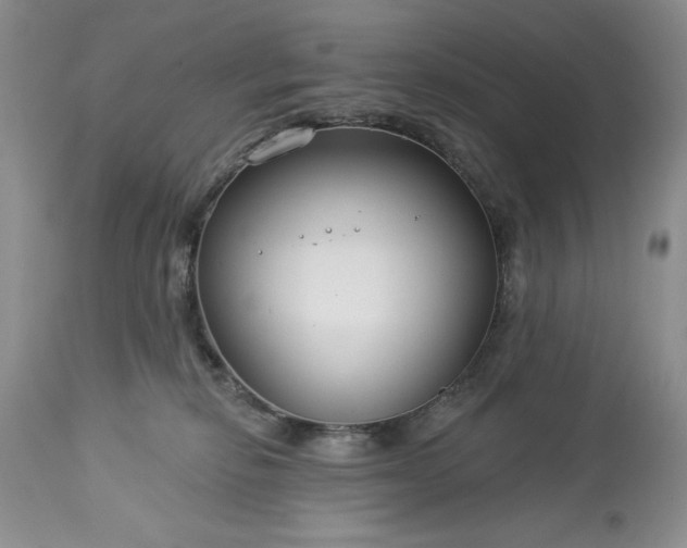 X0000113580278200910021700