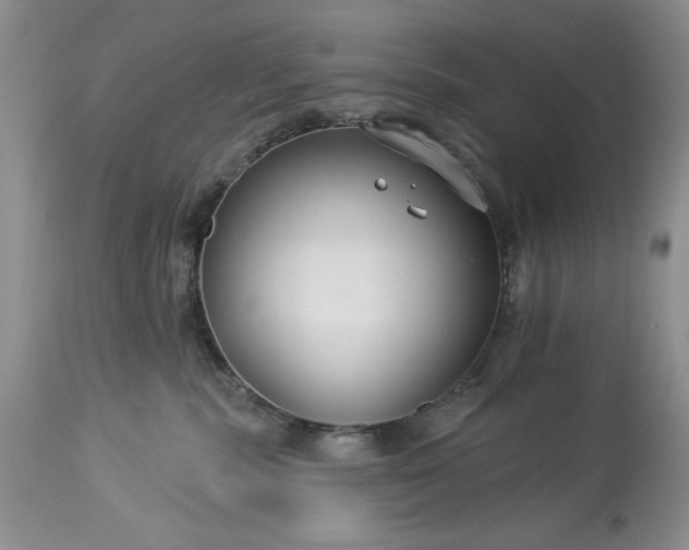 X0000113580283200910021700