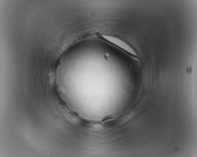 X0000113580285200910021700