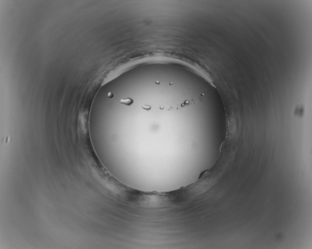 X0000113580286200910021700