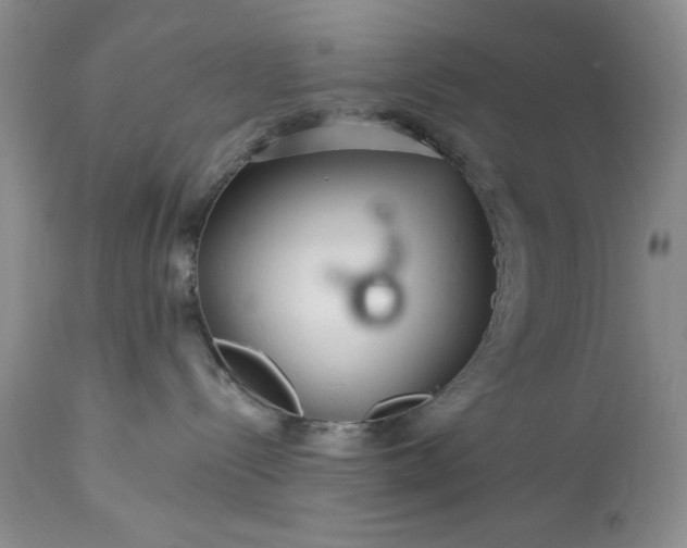 X0000113580288200910021700