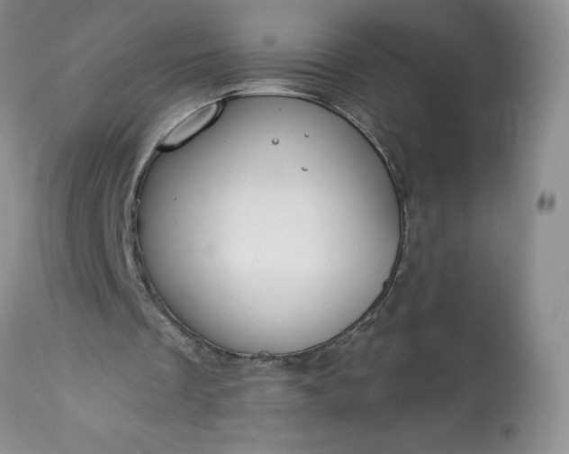 X0000113580289200910021700