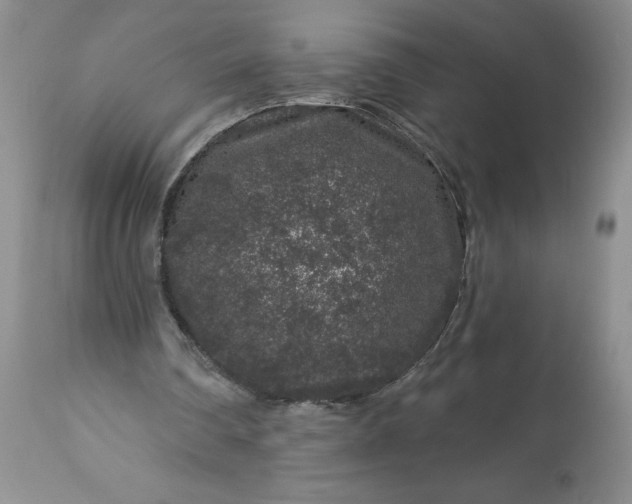 X0000113580290200910021659