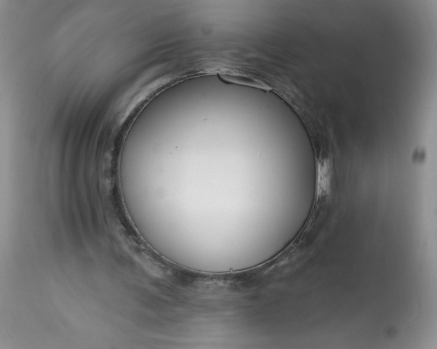 X0000113580291200910021659