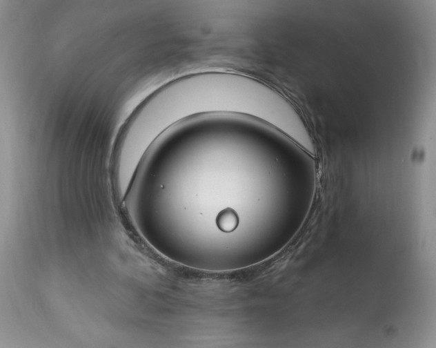 X0000113580292200910021659