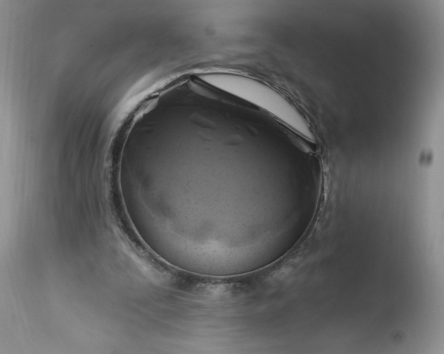 X0000113580295200910021659