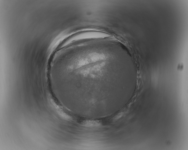 X0000113580296200910021659