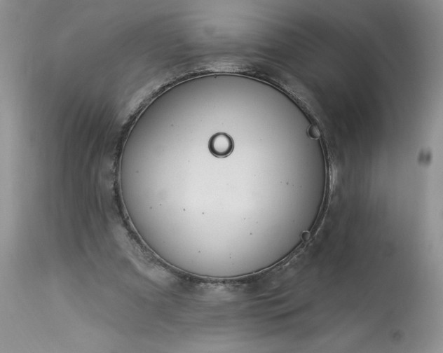 X0000113580297200910021659