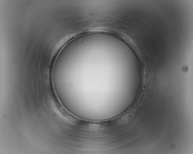 X0000113580298200910021659