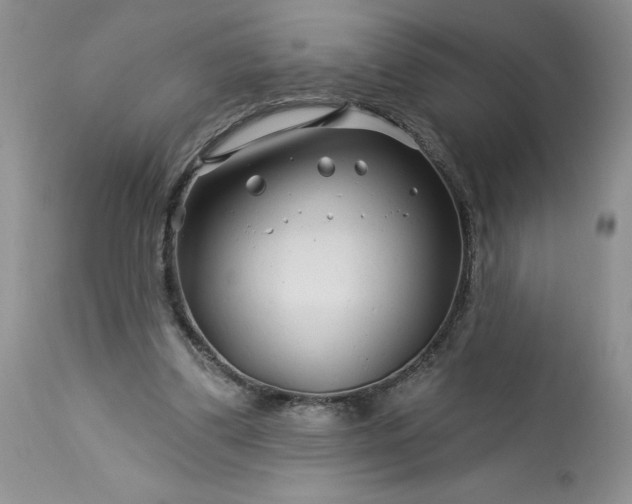 X0000113580299200910021659