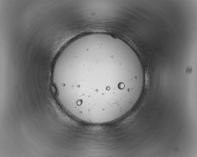 X0000113580301200910021659