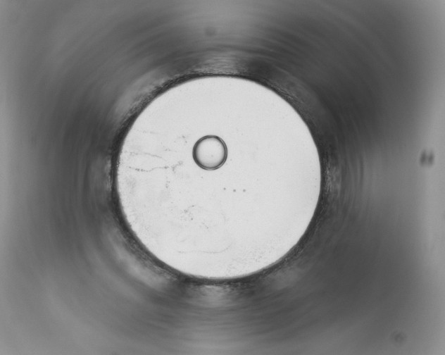 X0000113580302200910021659