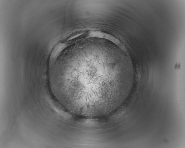 X0000113580303200910021659