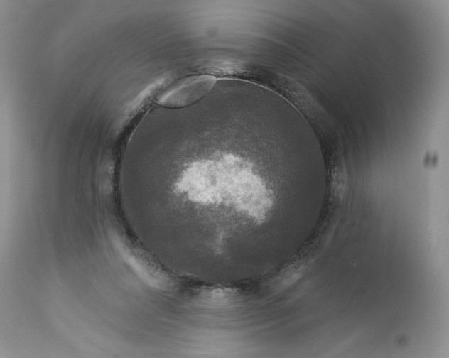 X0000113580304200910021659