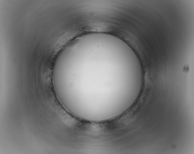 X0000113580305200910021659