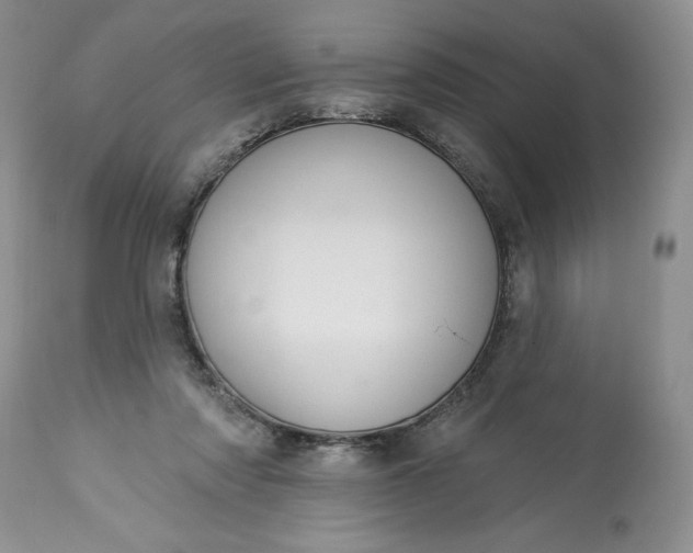 X0000113580310200910021659