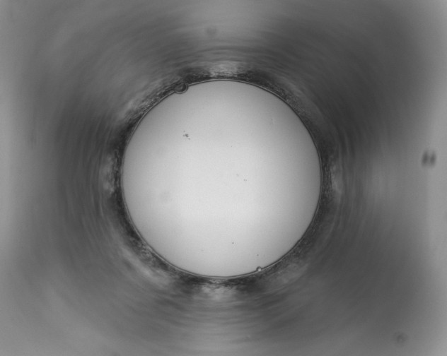 X0000113580311200910021659