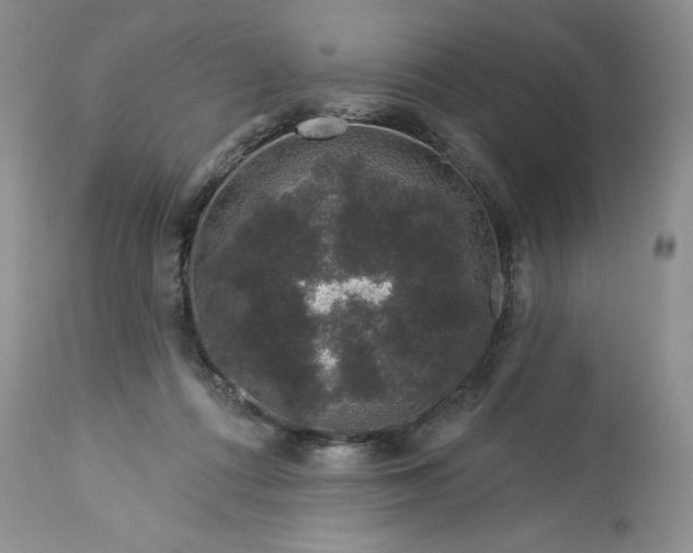 X0000113580312200910021659