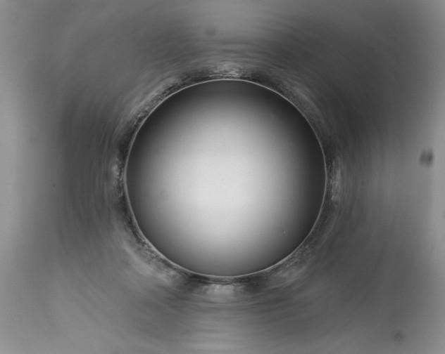 X0000113580314200910021659