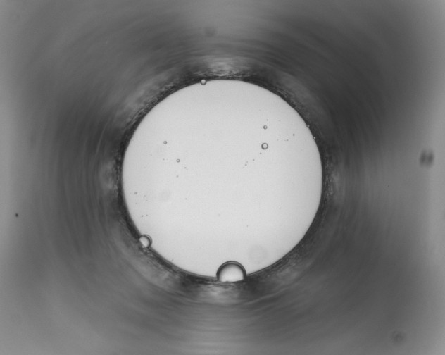 X0000113580317200910021659